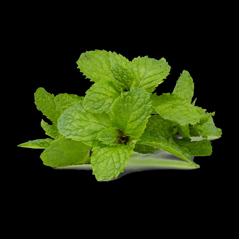 Peppermint Tea
